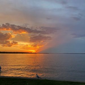 Meet your Posher, Khaleesa